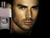 Gucci Guilty Chris Evans